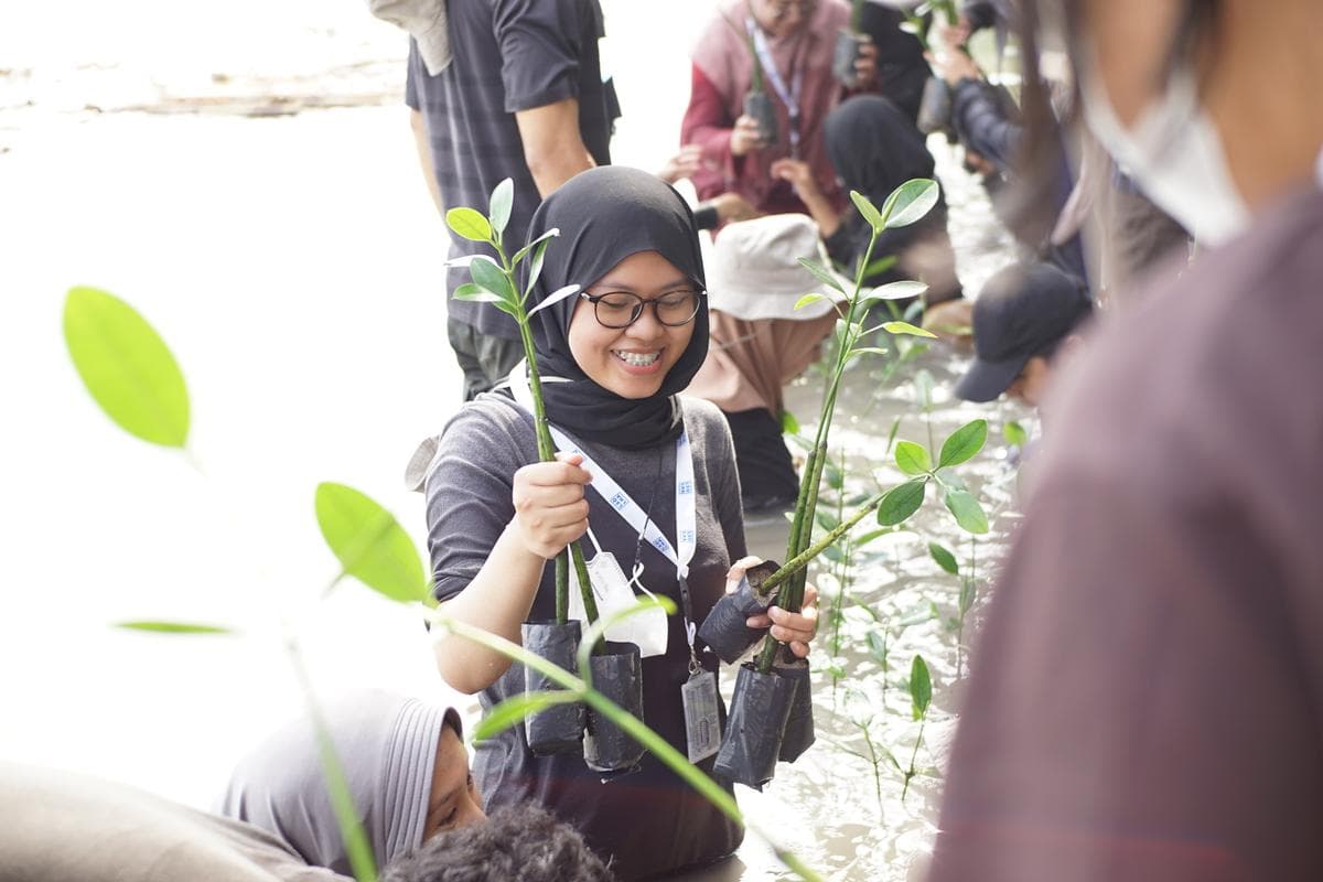 Field documentation