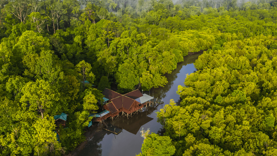Riau