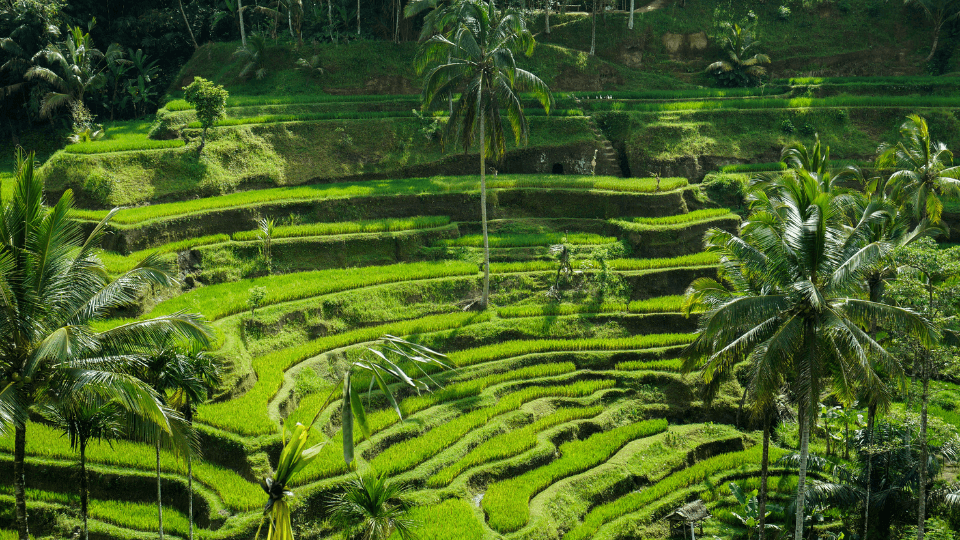 West Java